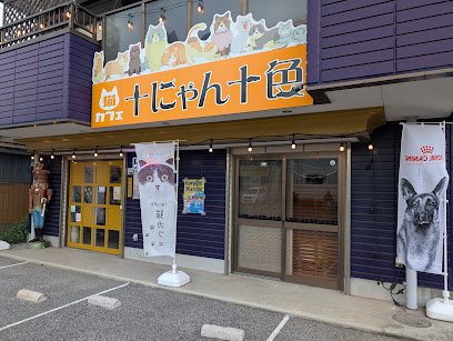 猫カフェ十にゃん十色