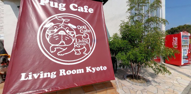 Opinii despre パグカフェ LivingRoom 京都 în 京都市 - 飲食業