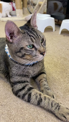 〒602-0875 京都府京都市上京区信富町３２５−２ 吉成ビル 3F