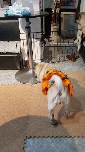 〒615-8017 京都府京都市西京区桂河田町１５１