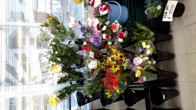 Opinii despre やさい＆くだもの村 戸祭店 în 宇都宮市 - 飲食業