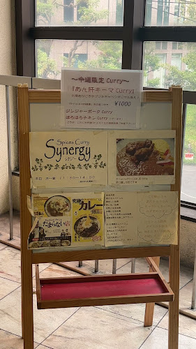 Spices Curry Synergy シナジー - 飲食業