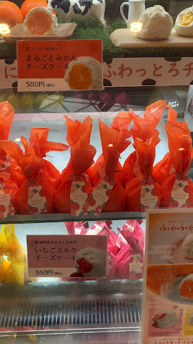 道後ミルクチーズケエキ - 松山市