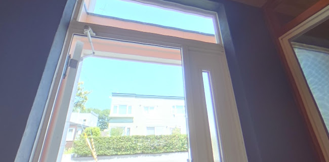 pico ricci - 飲食業