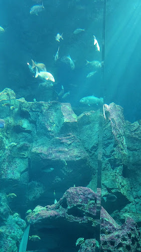 禁煙ばー 縁 ～enishi～ - 飲食業