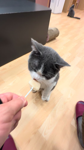 東札幌三条 1 1 1 ラソラ札幌店Aタウン2階, １丁目 白石区 札幌市 北海道 003-0003