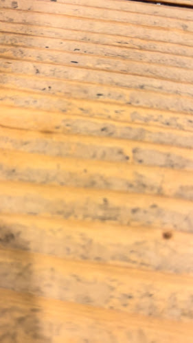 Opinii despre とりけん 駅前店 în 徳島市 - 飲食業