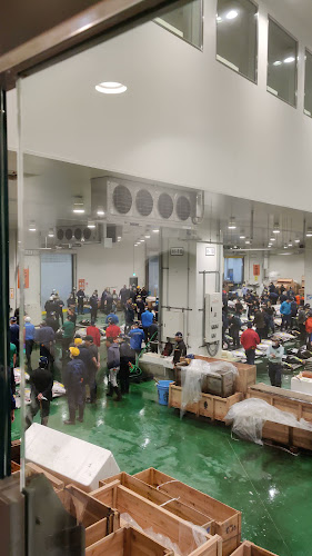 豊洲市場 - 江東区