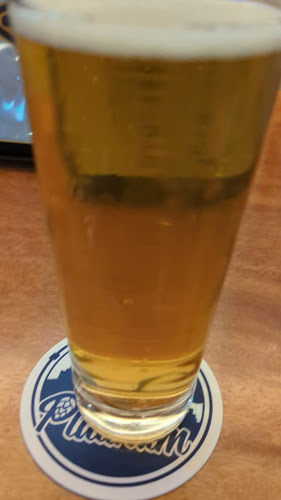 プラチナフィッシュクラフト ビア バル アトレ川崎店