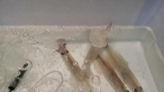 Opinii despre 旬創キッチン花さか亭 în 青森市 - 飲食業