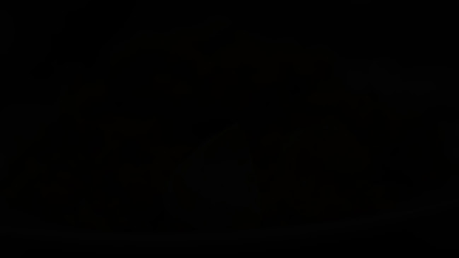 Opinii despre ディープ・ジョティ 笠寺 în 名古屋市 - 飲食業