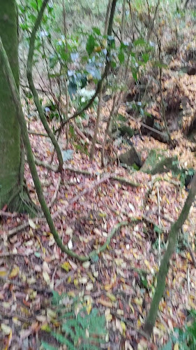 Comentarii opinii despre カフェ hygge