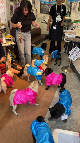 パグカフェ LivingRoom 京都 - 京都市