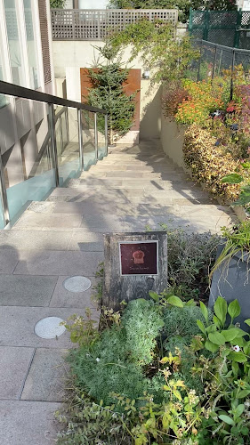 Dans Dix ans（ダンディゾン）