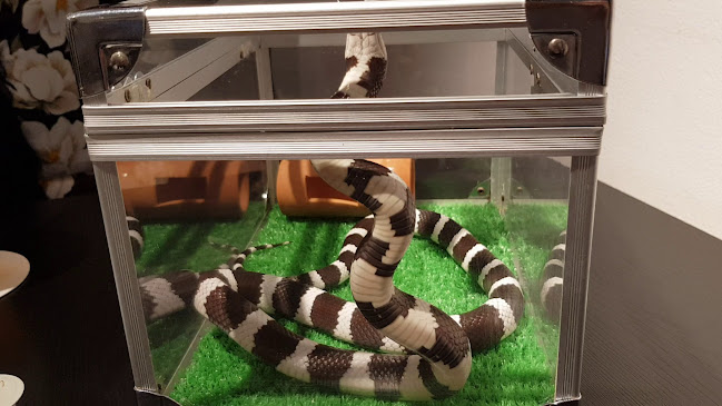 〒150-0001 東京都渋谷区神宮前６丁目５−６ サンポウ綜合ビル 8F