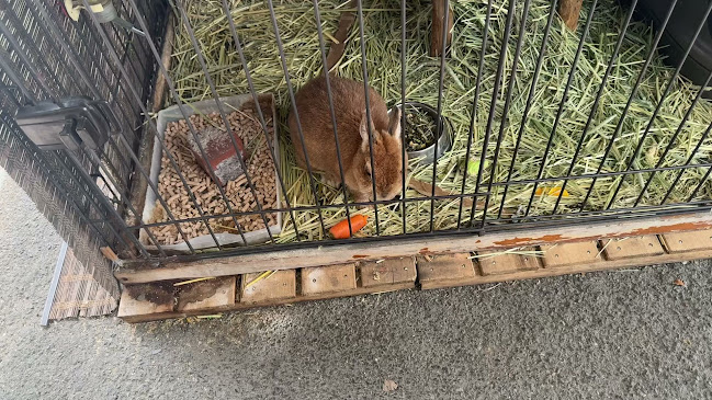 喜久地 - 飲食業