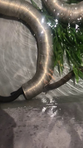 うなぎのしろむら 春日井店 - 飲食業