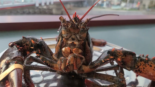 〒249-0005 神奈川県逗子市桜山８丁目１１−１１