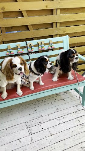 ホリデイコーヒー