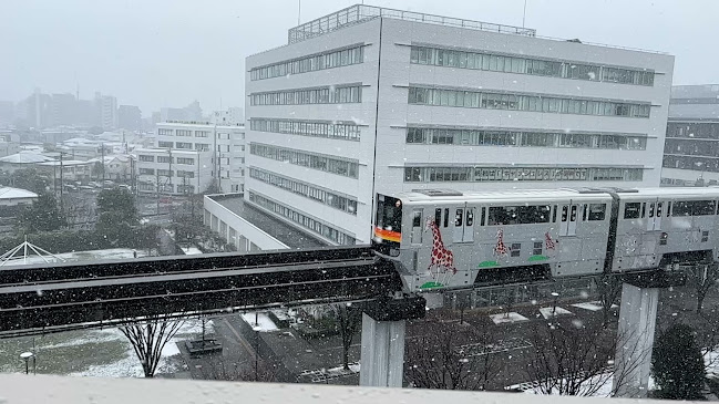 The Dragonfly Bar ザ ドラゴンフライ バー - 立川市