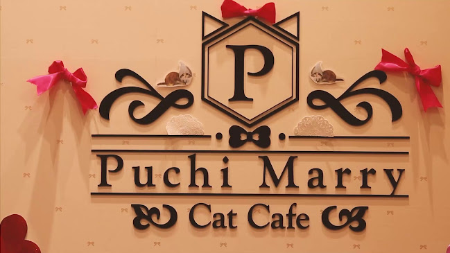 Opinii despre Puchi Marry ラソラ札幌店 în 札幌市 - 飲食業