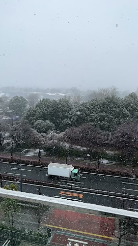 The Dragonfly Bar ザ ドラゴンフライ バー - 飲食業