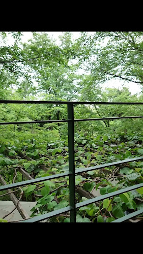 Opinii despre ラ・ベントゥーラ în 練馬区 - 飲食業