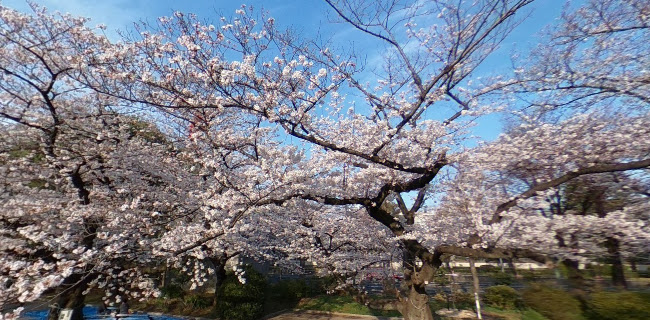 Comentarii opinii despre レストラン プルメリア〈半蔵門〉