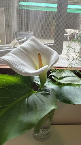 Opinii despre アイトワ în 京都市 - 飲食業