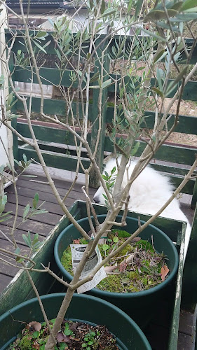 〒630-0246 奈良県生駒市西松ケ丘７−１