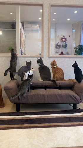 カフェ九十九島ねこの郷