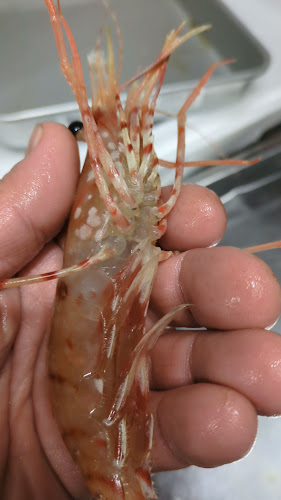 居酒屋食堂 めっし - 呉市