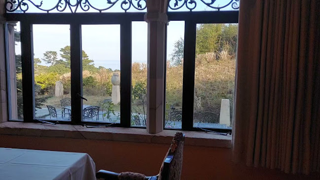 Opinii despre レストラン＆カフェ ラ・ヴィータ în 伊東市 - 飲食業