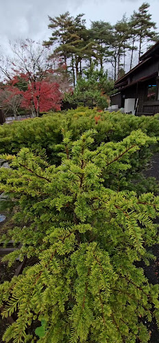 Opinii despre 古民家カフェ KONOHANA în 富士吉田市 - 飲食業