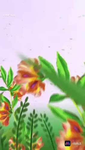 オステリア ジリ - 飲食業