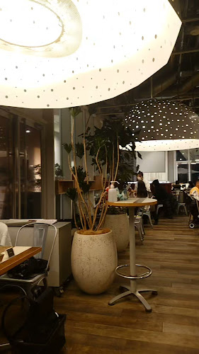 cafe STUDIO - 飲食業