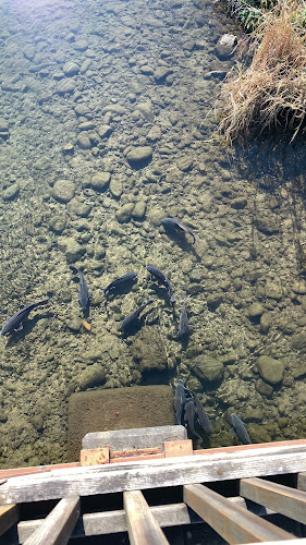 Ke-yaki Kitchen あっとケー焼陶芸 - 狭山市