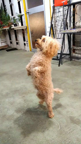 パーラーうるま