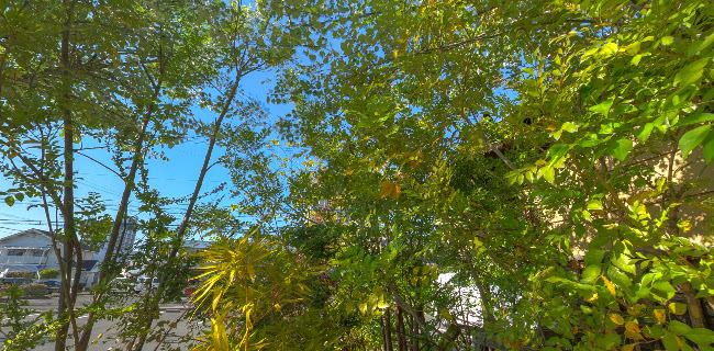 Opinii despre 茶寮 慈現 în 松山市 - 飲食業