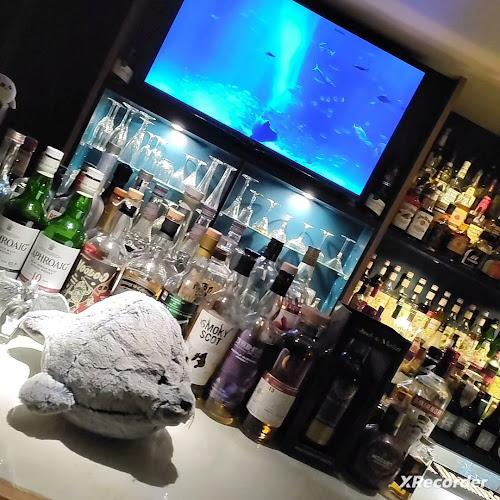 Comentarii opinii despre Bar Selkie