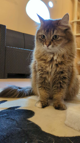 〒275-0001 千葉県習志野市東習志野８丁目２１−２７