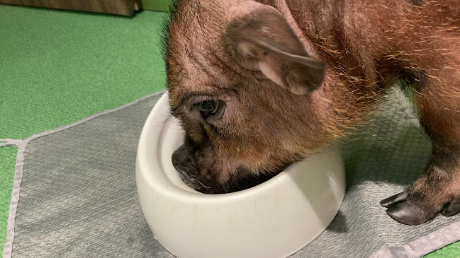 〒343-0828 埼玉県越谷市レイクタウン４丁目2番地2 イオンレイクタウン kaze 1F