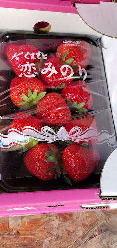 〒860-0008 熊本県熊本市中央区二の丸１−１−２