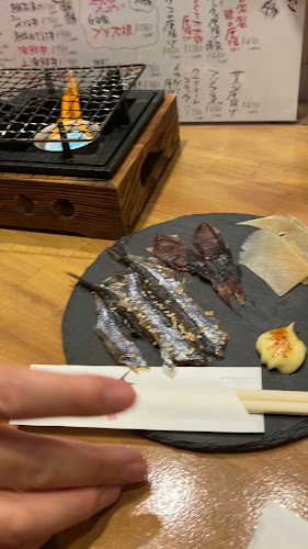 Comentarii opinii despre 魚虎