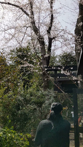 ラ・ベントゥーラ