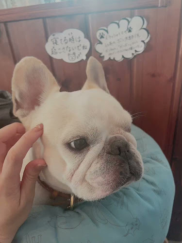 COFFEE ROASTERY MEGURO - 飲食業