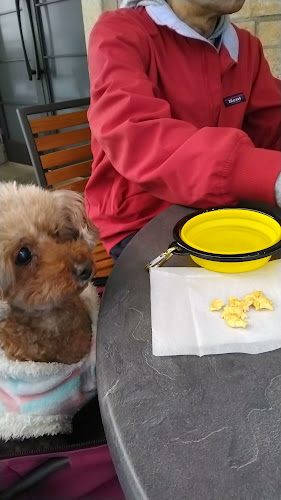 PRONTO 深川ギャザリア店 - 江東区