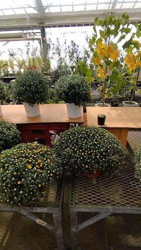 Opinii despre ＪＡ新潟かがやき 花夢里にいつ în 新潟市 - 飲食業