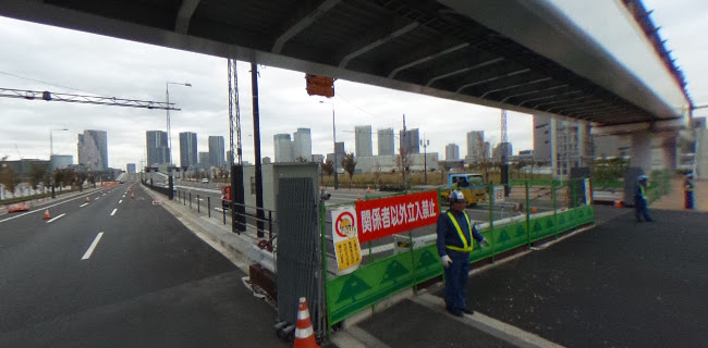 Comentarii opinii despre 豊洲市場