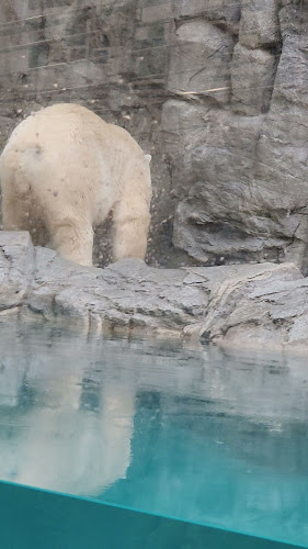 禁煙ばー 縁 ～enishi～ - 秋田市